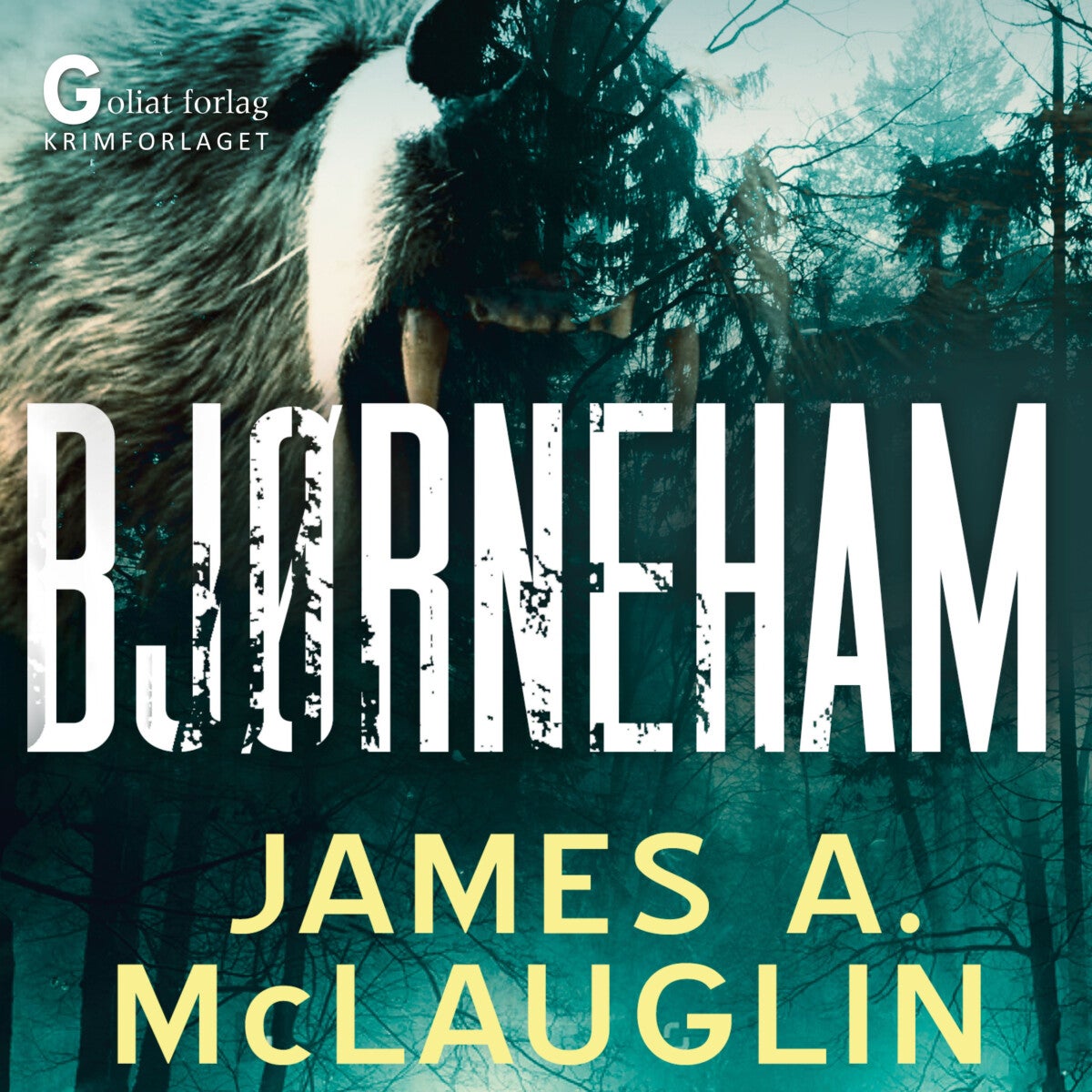 book cover thumbnail