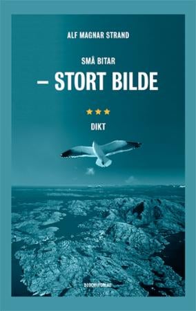 Små bitar - stort bilde - dikt