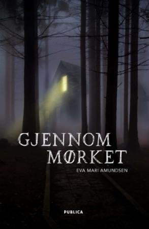 Gjennom mørket