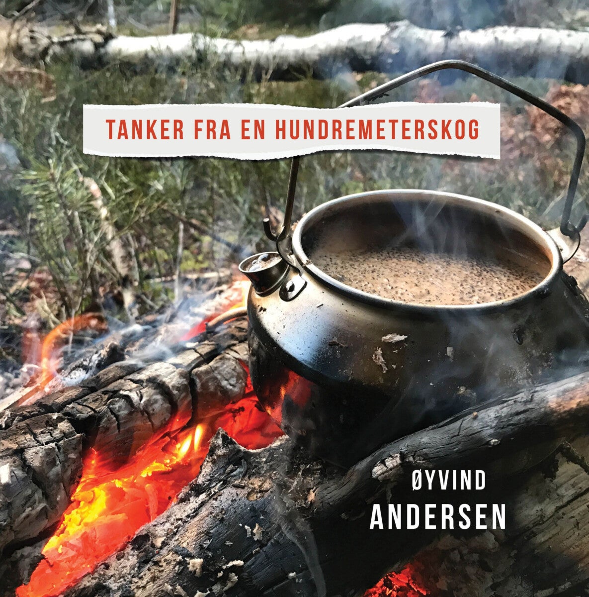 Tanker fra en hundremeterskog