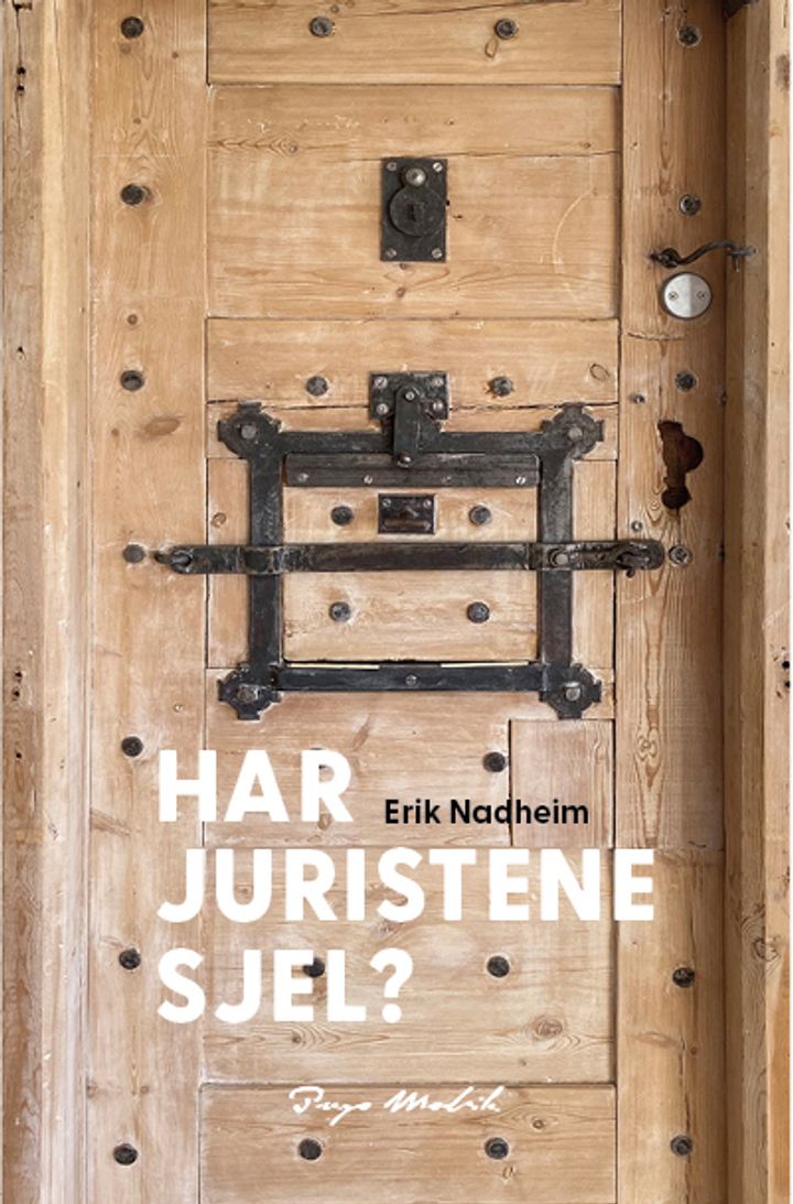 Har juristene sjel? - historier fra en advokats hverdag