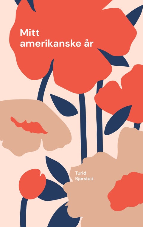 Mitt amerikanske år - roman