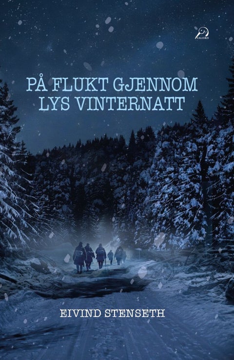 På flukt gjennom lys vinternatt