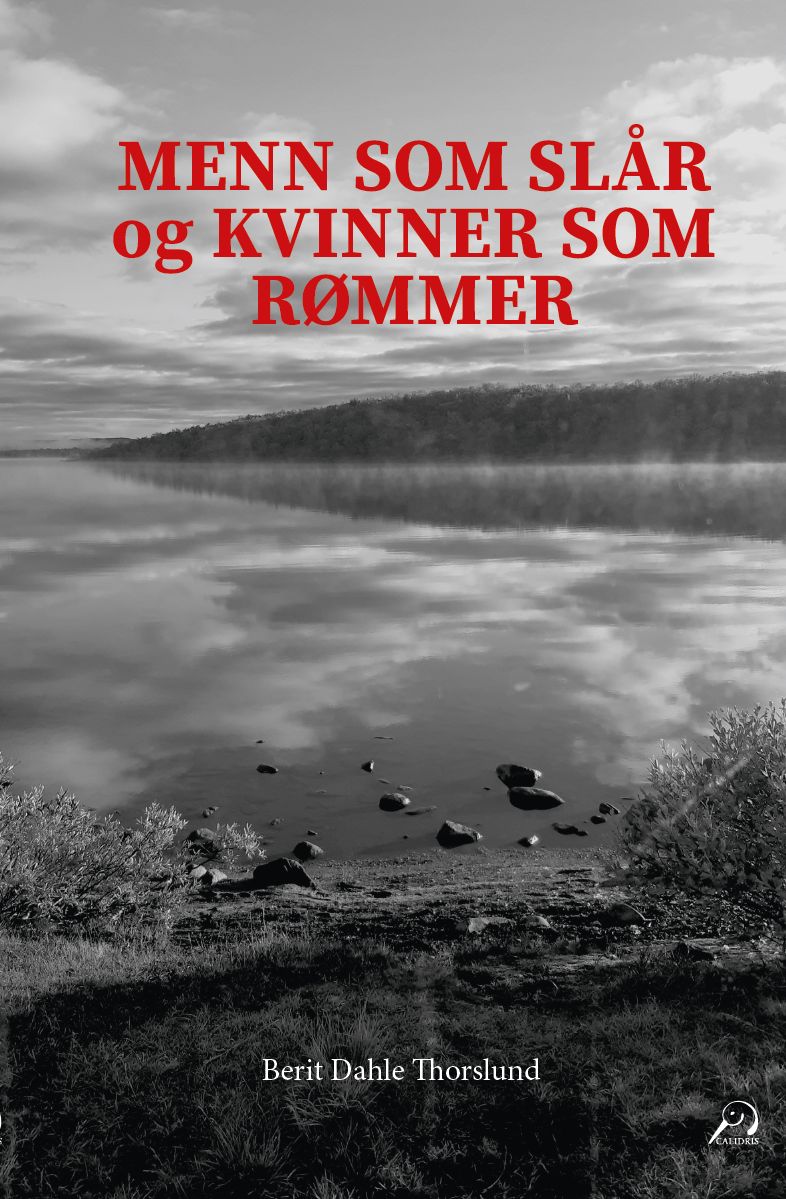 Menn som slår og kvinner som rømmer