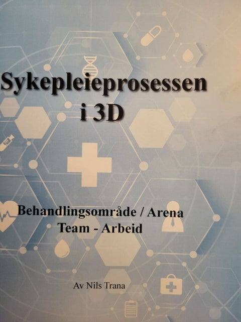 Sykepleieprosessen i 3D