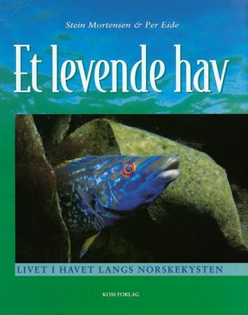 Et levende hav - livet i havet langs norskekysten
