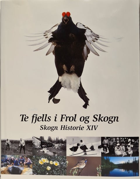 Te fjells i Frol og Skogn Skogn Historie XIV