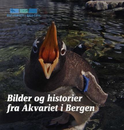 Bilder og historier fra Akvariet i Bergen