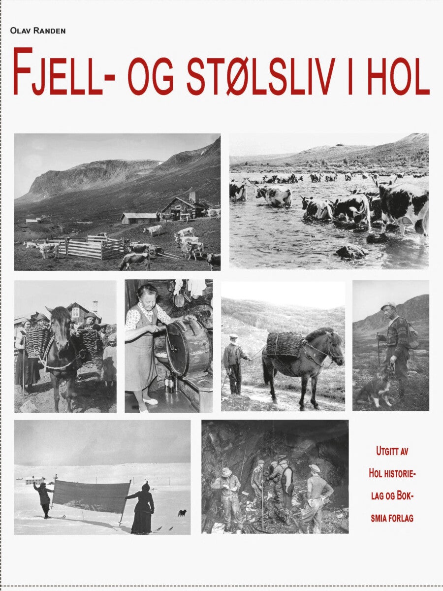 Bilde av Fjell- Og Stølsliv I Hol Av Olav Randen