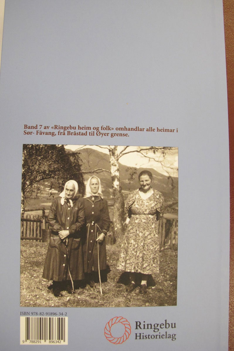 Ringebu heim og folk Band 7 - Sør-Fåvang