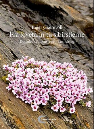 Fra løvetann til sibirstjerne - kommuneblomstene i Trøndelag