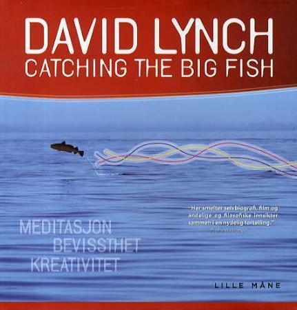 Catching the big fish - meditasjon, bevissthet og kreativitet