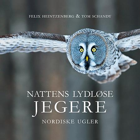 Nattens lydløse jegere - nordiske ugler