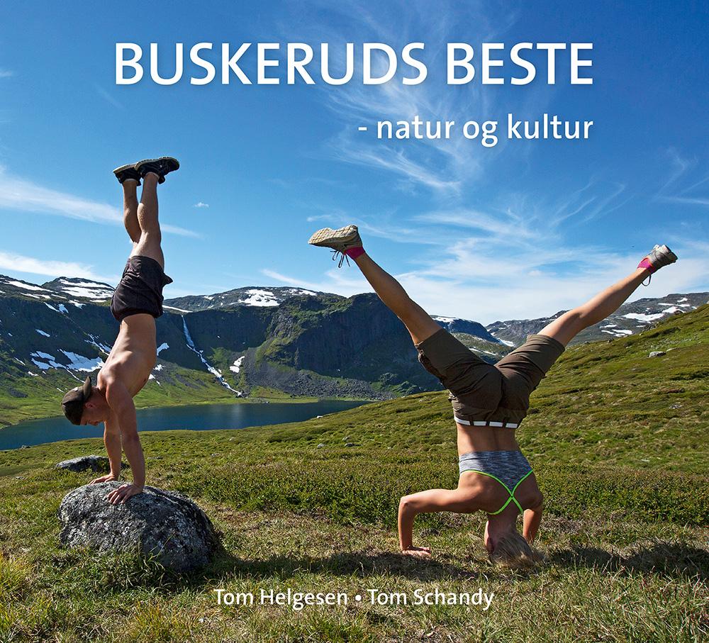 Buskeruds beste - natur og kultur
