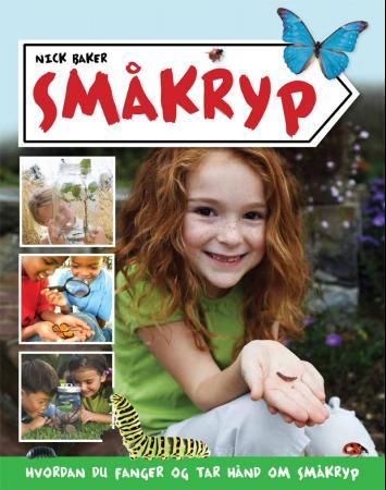 Småkryp - hvordan du fanger og tar hånd om småkryp