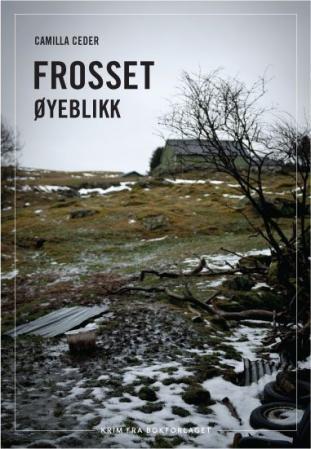 Frosset øyeblikk