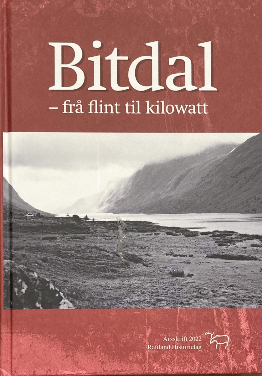 Bitdal - frå flint til kilowatt
