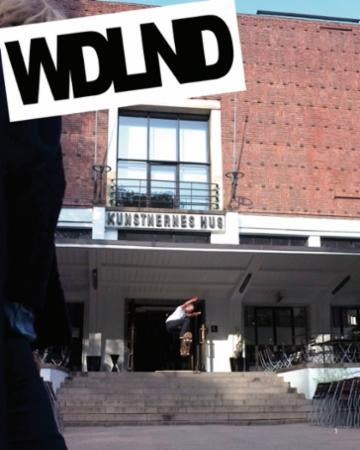 Woodland - ten years - 2009-2019