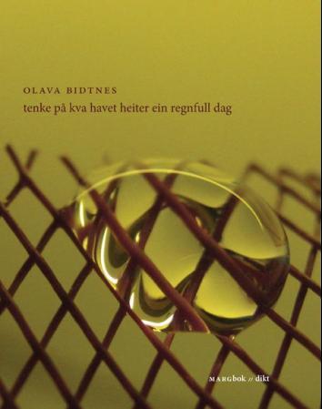 Tenke på kva havet heiter ein regnfull dag - dikt