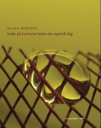 Tenke på kva havet heiter ein regnfull dag - dikt