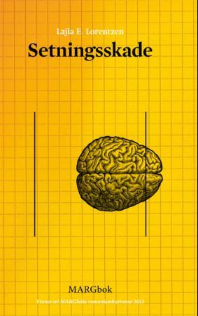 Setningsskade - roman