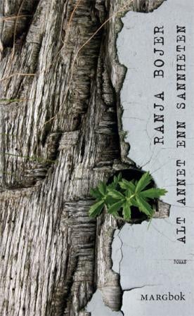 Alt annet enn sannheten - roman