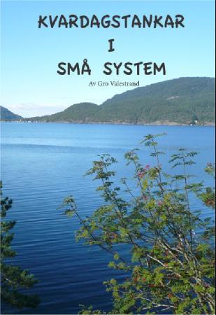 Kvardagstankar i små system