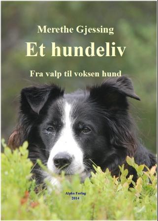 Et hundeliv - fra valp til voksen hund