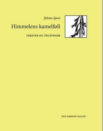 Himmelens kamelføll - tekster og tegninger