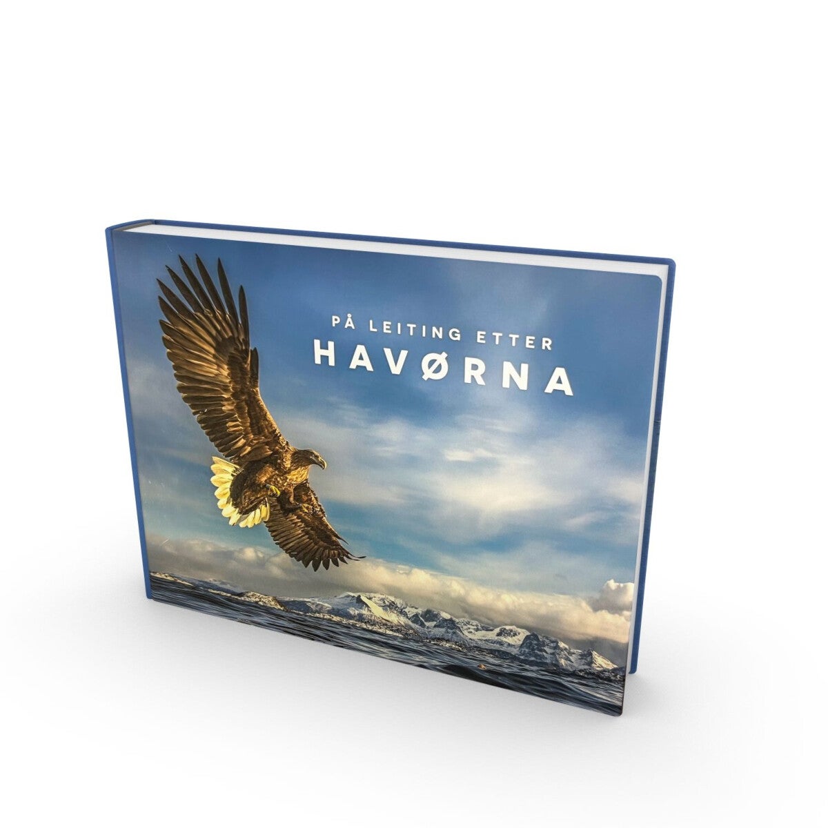 På leiting etter havørna