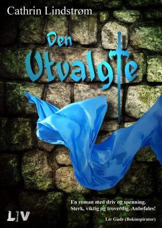 Den utvalgte - roman