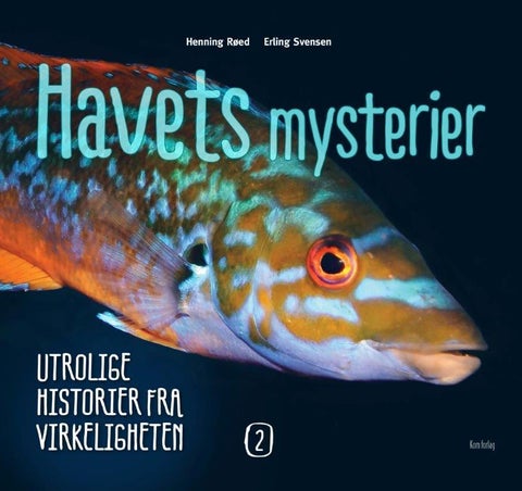 Havets mysterier 2 - utrolige historier fra virkeligheten