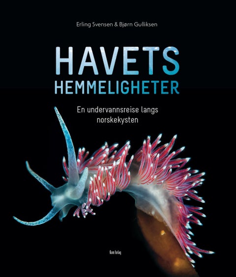 Havets hemmeligheter - en undervannsreise langs norskekysten