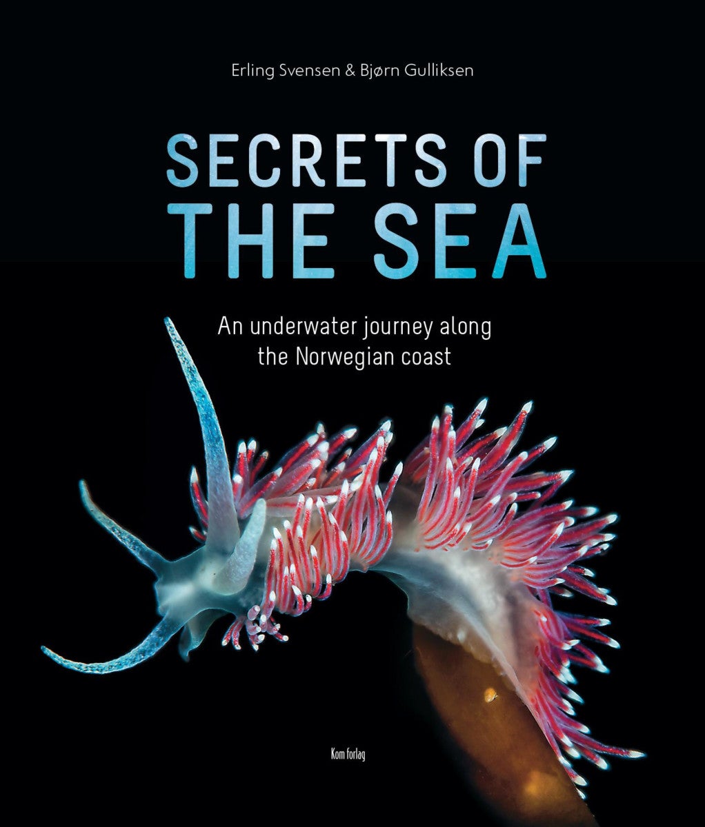 Secrets of the sea - an underwater journey along the Norwegian coast