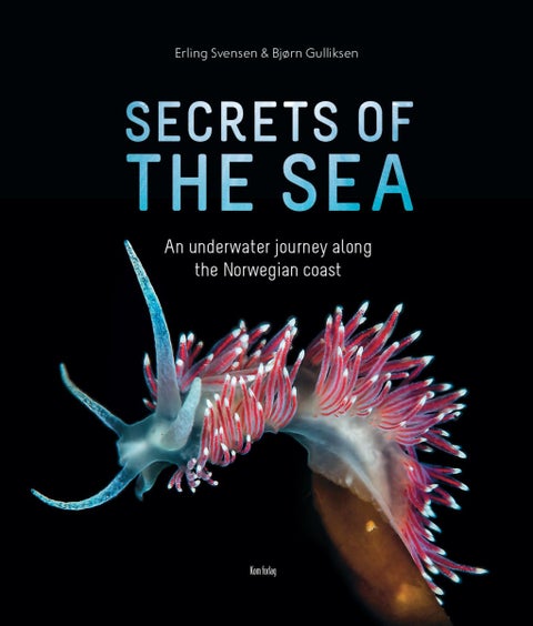 Secrets of the sea - an underwater journey along the Norwegian coast