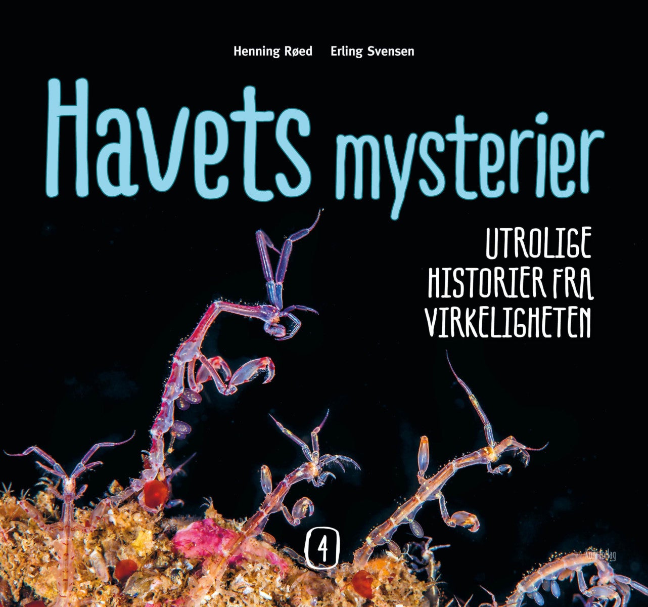 Havets mysterier 4 - utrolige historier fra virkeligheten