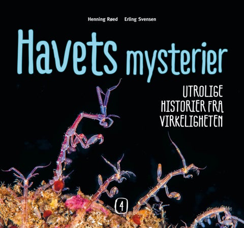 Havets mysterier 4 - utrolige historier fra virkeligheten