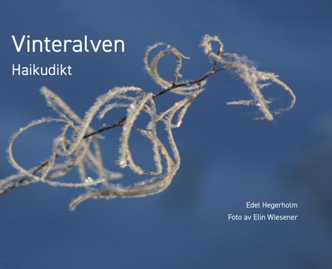 Vinteralven - haikudikt