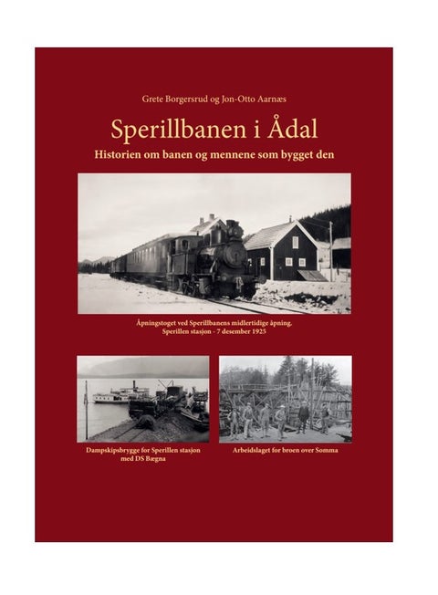 Sperillbanen i Ådal - Historien om banen og mennene som bygget den