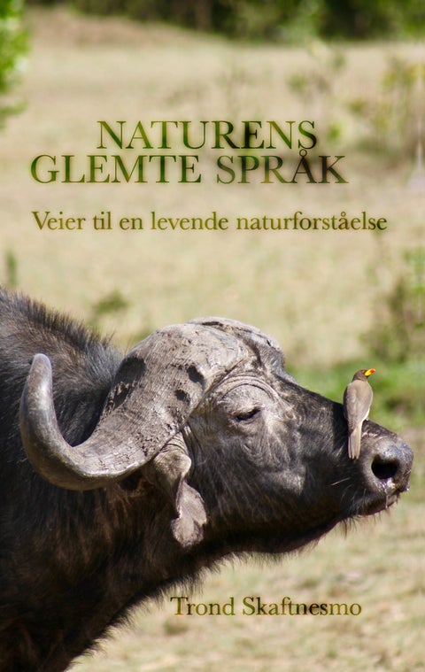 Naturens glemte språk - veier til en levende naturforståelse