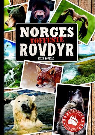 Norges tøffeste rovdyr