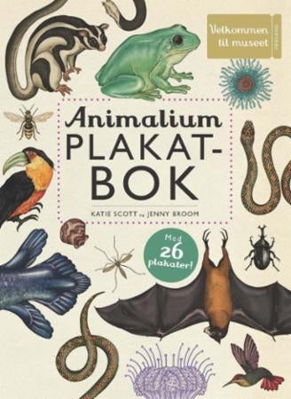 Animalium - plakatbok