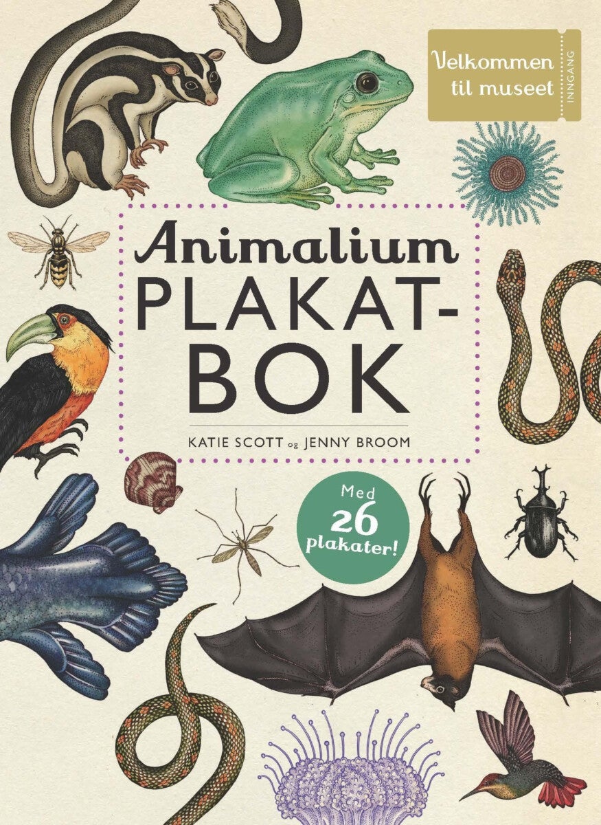 Animalium - plakatbok