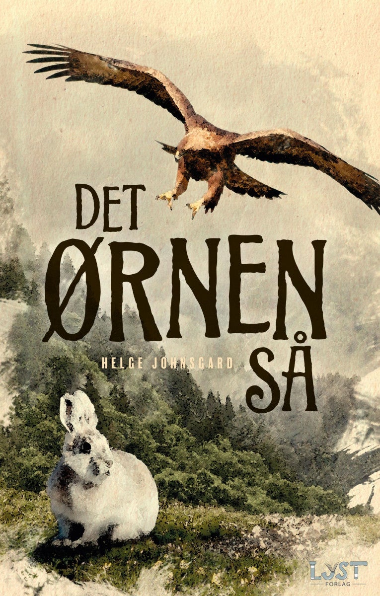 Det ørnen så - roman