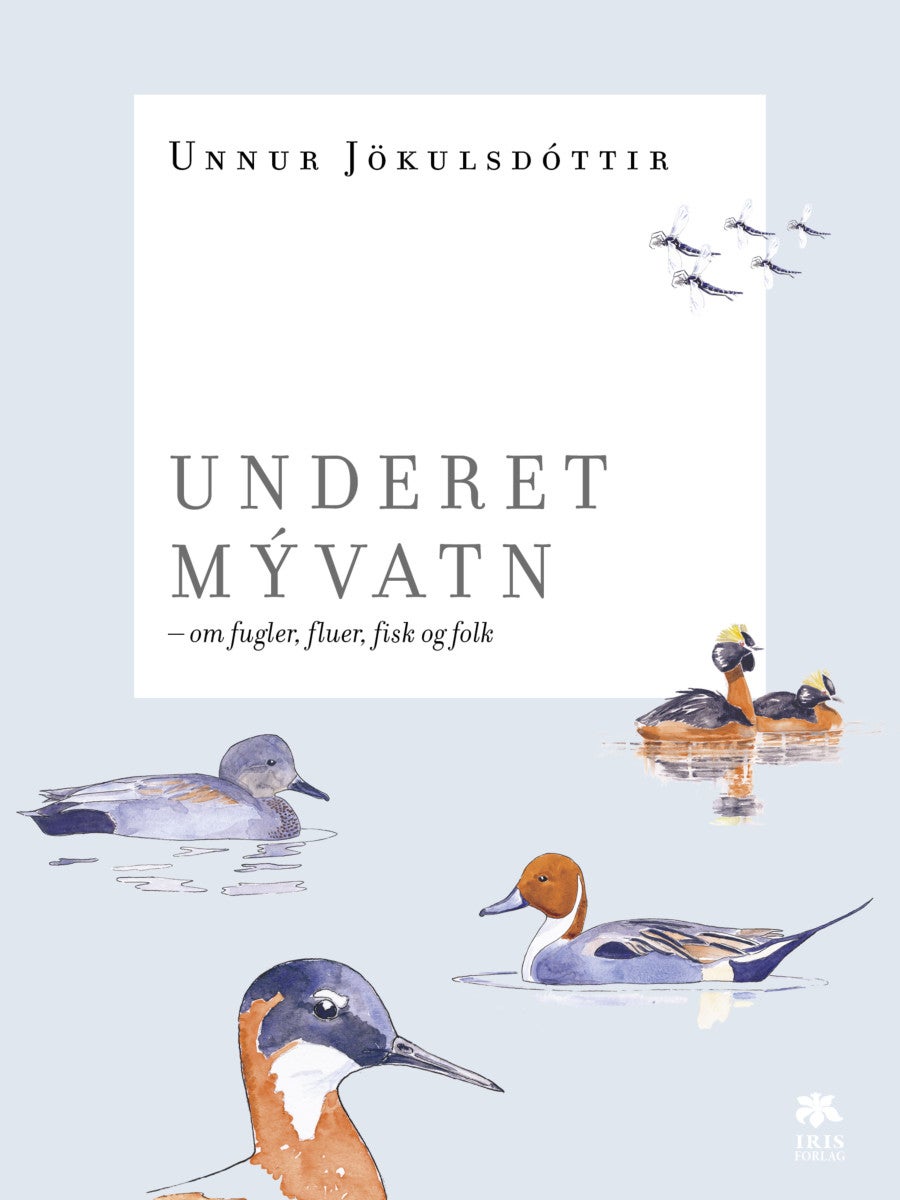 Bilde av Underet M.vatn Av Unnur Jökulsdóttir