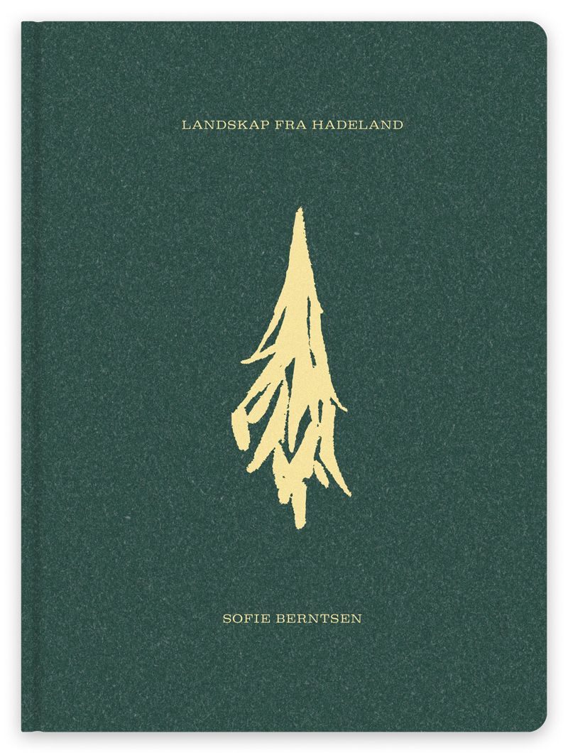 Bilde av Landskap Fra Hadeland Av Sofie Berntsen, Bjørn Hatterud, Leif Høghaug, Ole Slyngstadli