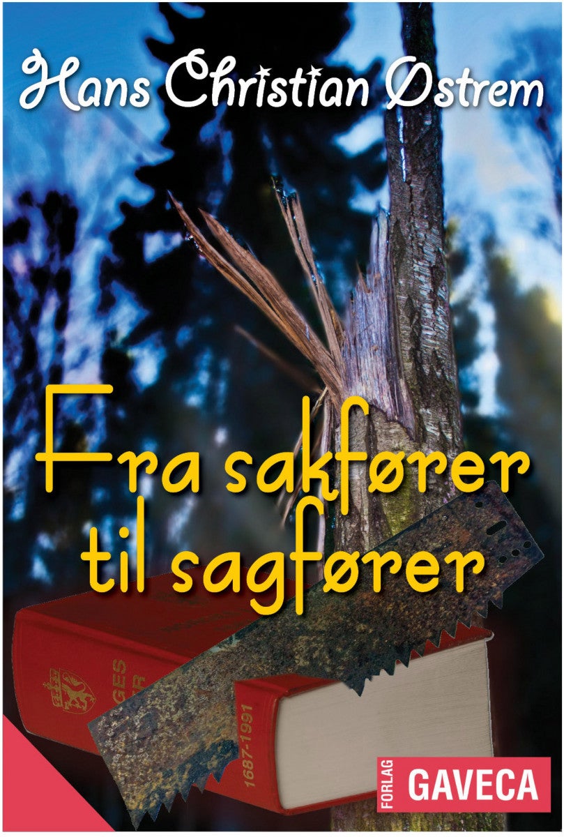 Fra sakfører til sagfører