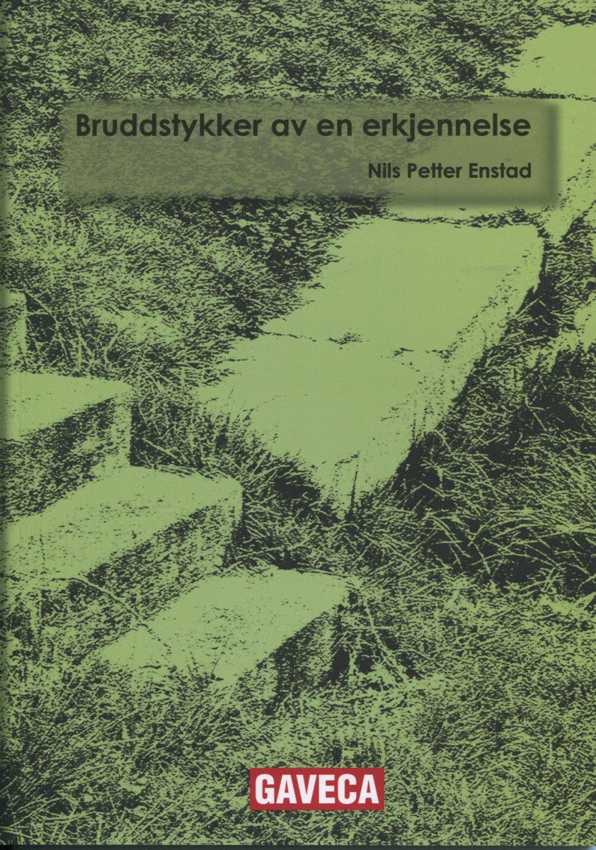 Bruddstykker av en erkjennelse - essays om livet, døden og evigheten