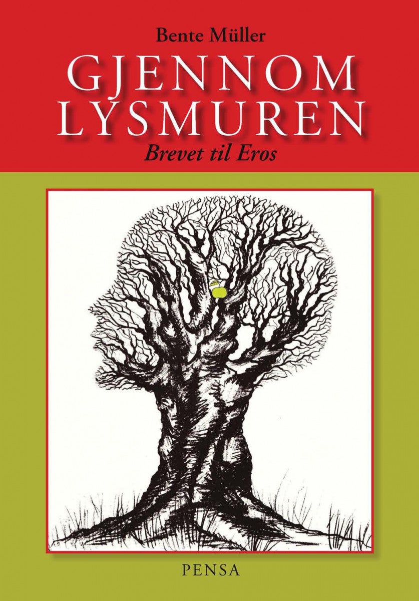 Gjennom lysmuren - brevet til Eros : et kosmogram