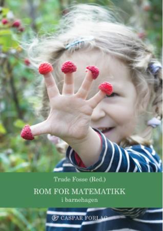 Bilde av Rom For Matematikk - I Barnehagen
